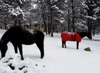 Winter Challenges