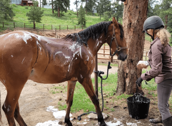 ResqRanch Cleanup Day #1